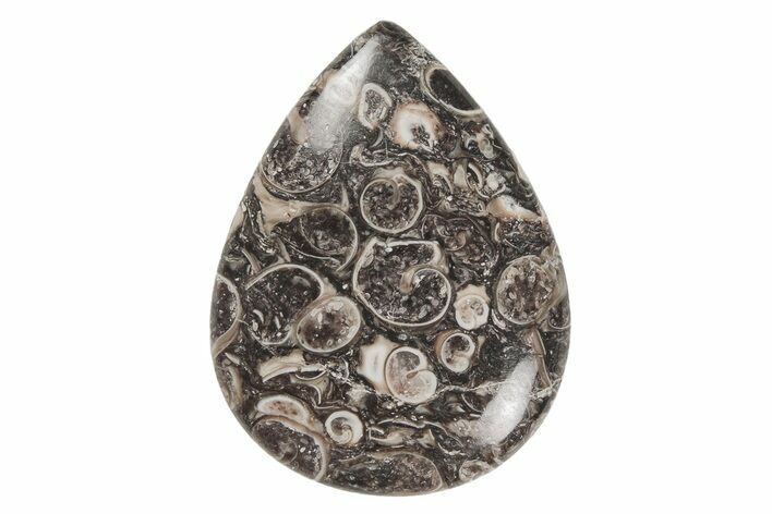 Polished Fossil Turritella Agate Cabochon - Wyoming #213931